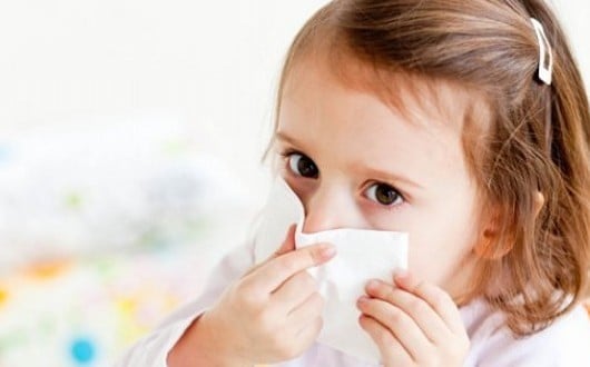 Аллергия на пыль у ребенка
