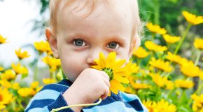 Аллергия на пыльцу у детей