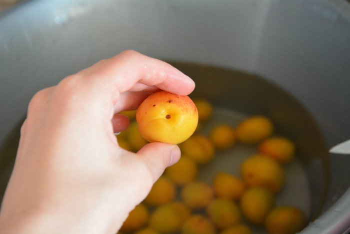 мытье абрикосов