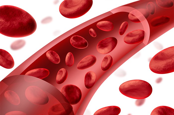 кровяные клетки 