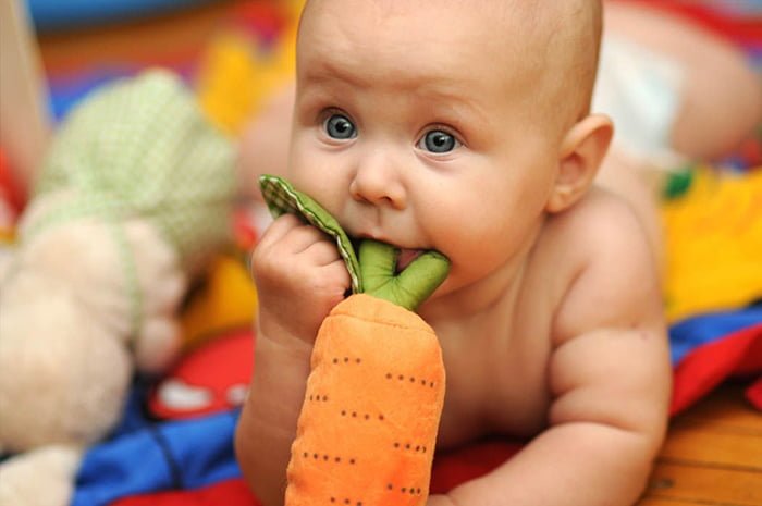 ребенок берет игрушки в рот 